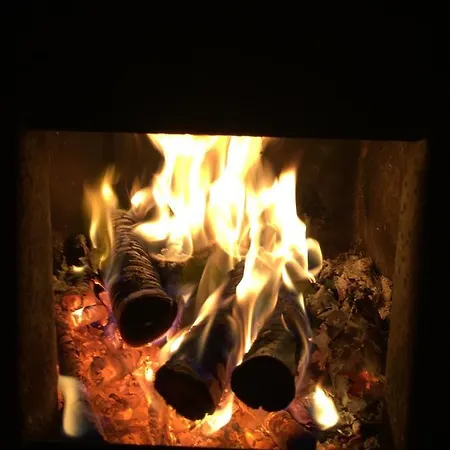 A Unique With Sauna In A Pine Forest * Tammela